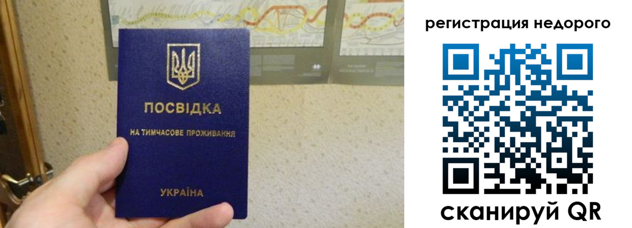 временная регистрация поиск в Александровске-Сахалинском